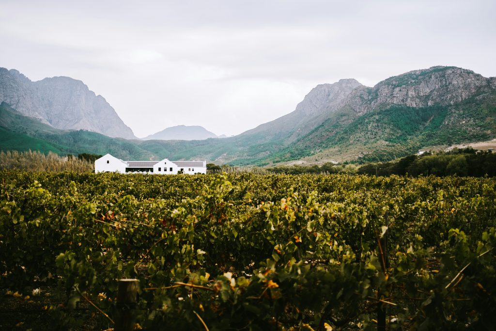 Highlights of the Wine Tram Experience