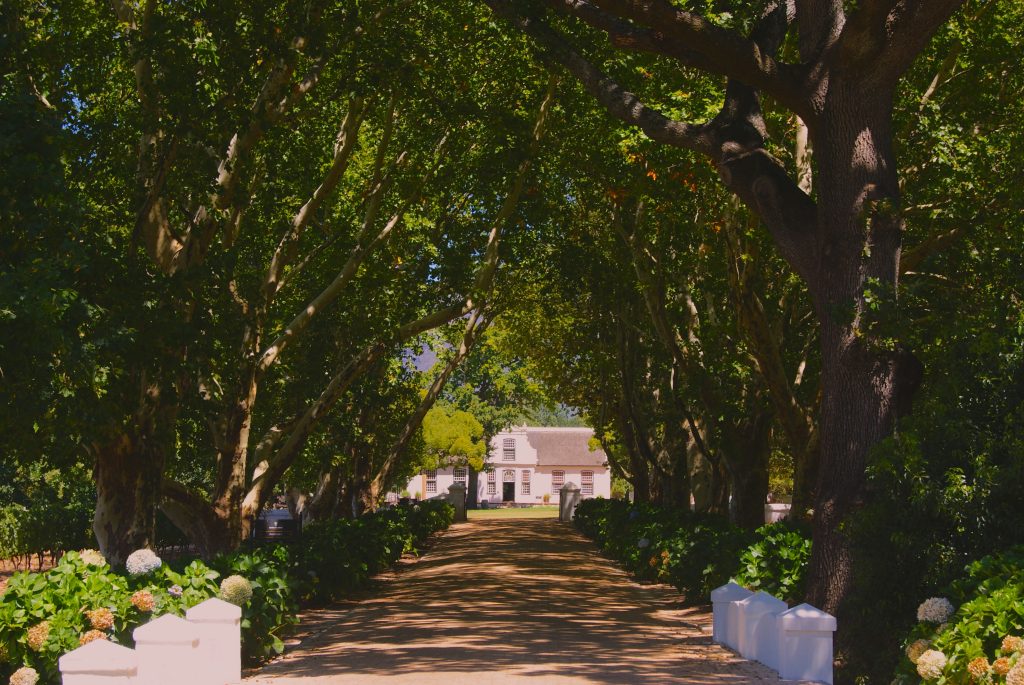 Introduction to the Franschhoek Wine Tram