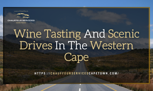 Wine Tasting And Scenic Drives In The Western Cape