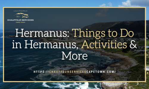 Hermanus Things to Do in Hermanus, Activities & More