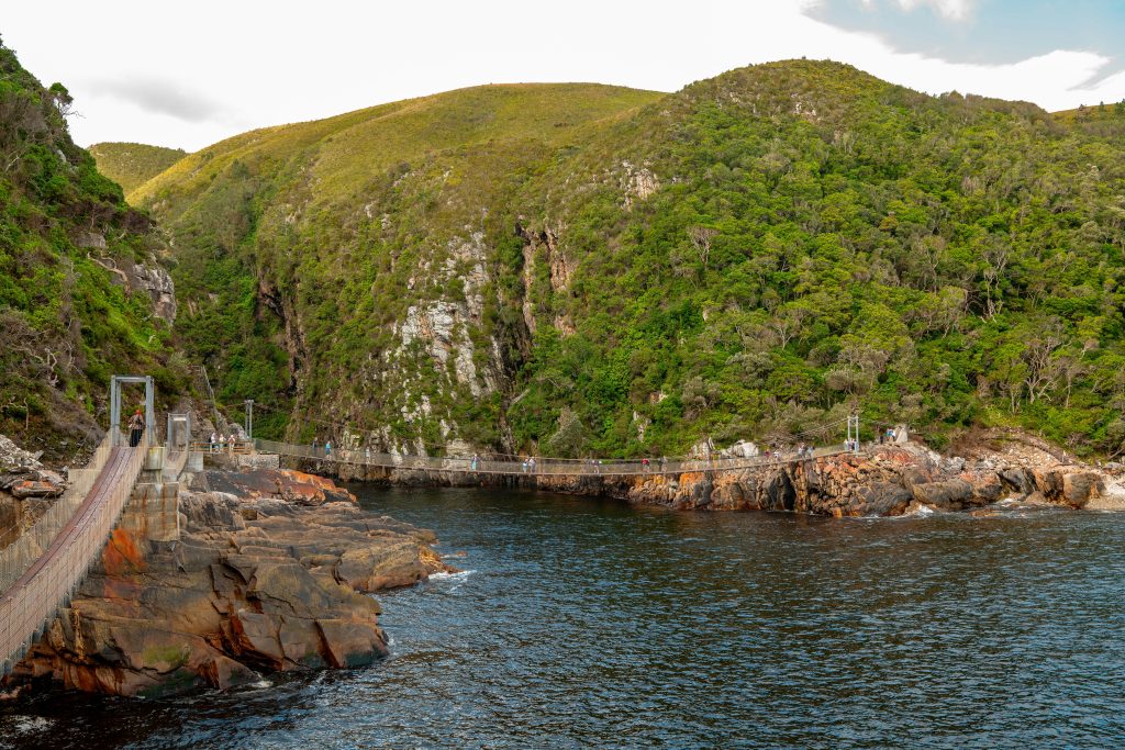 Tsitsikamma National Park (2)