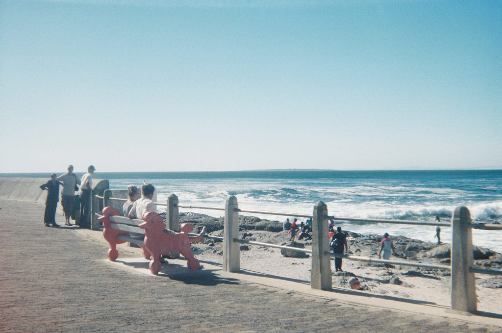 Understanding Cape Town’s Attractions